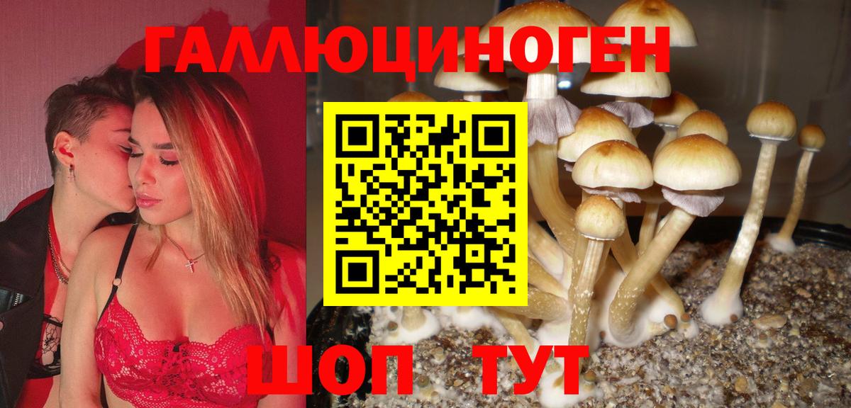 Псилоцибиновые грибы ЛСД Людиново